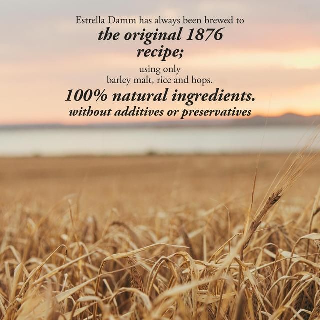 Estrella Damm Premium Lager Beer Bottle 660ml