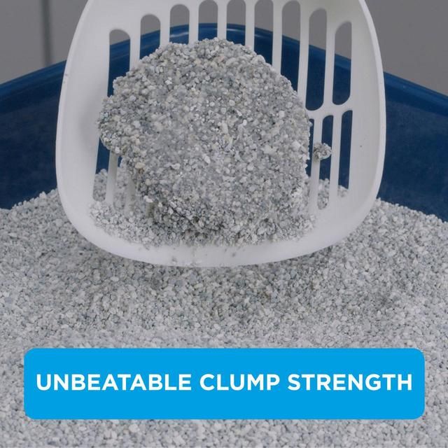 Ever Clean Clumping Cat Litter Litterfree Paws 10L
