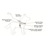 EzyDog Quick Fit Blue Dog Harness