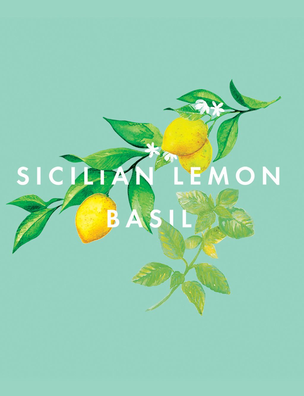 Feel Refreshed Essential Oil Blend 10ml