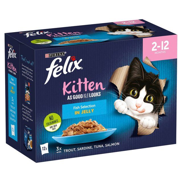 Felix As Good As it Looks Kitten Fish in Jelly Wet Cat Food 12 x 100g