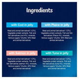 Felix As Good As it Looks Ocean Feasts Wet Cat Food 12 x 100g