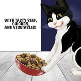 Felix Doubly Delicious Beef Chicken & Vegetables Dry Cat Food 2kg