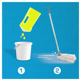 Flash All Purpose Floor Cleaner with French Soap 1L