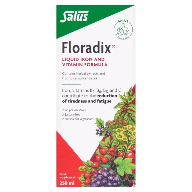 Floradix Liquid Iron & Vitamin Formula 250ml