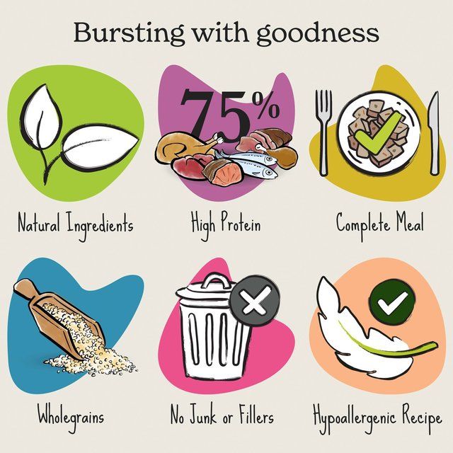 Forthglade Complete Adult Turkey with Brown Rice & Veg   395g