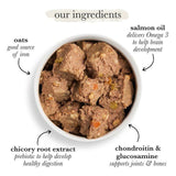 Forthglade Complete Puppy Wholegrain Chicken with Oats & Veg 395g