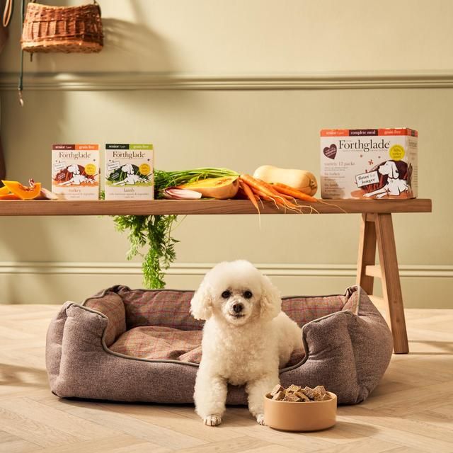 Forthglade Complete Senior Grain Free Dog Food Variety Pack Turkey & Lamb 12 x 395g