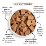 Forthglade Complete Senior Grain Free Turkey with Butternut Squash & Veg 395g