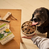 Forthglade Complete Senior Whole Grain Lamb with Brown Rice & Veg 395g