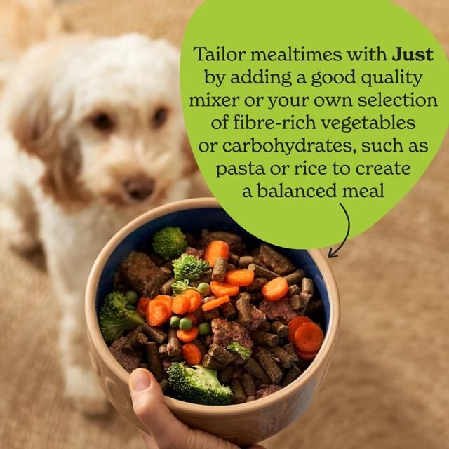 Forthglade Just Multicase (Chicken Lamb & Beef) Grain Free Wet Dog Food 12 x 395g