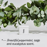 Fussy Deodorant Refill Wavy Days 40g