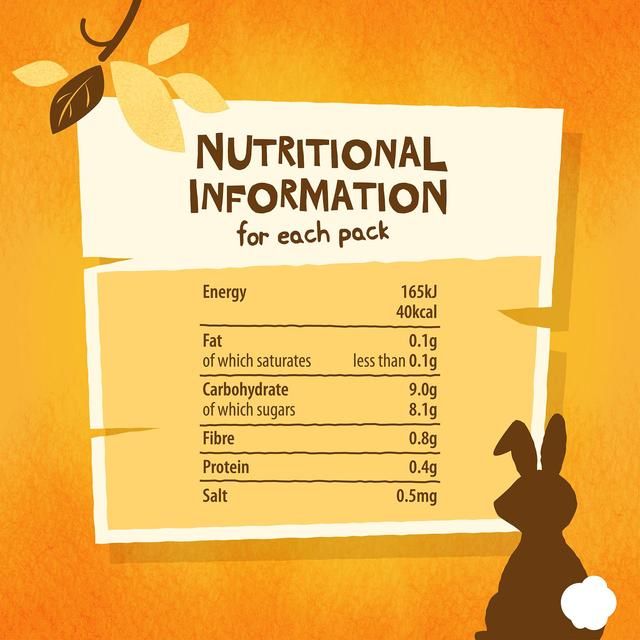 Giving Tree Freeze Dried Mango Crispies for Kids 10g