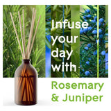 Glade Aromatherapy Reed Diffuser Refreshing Energy 80ml