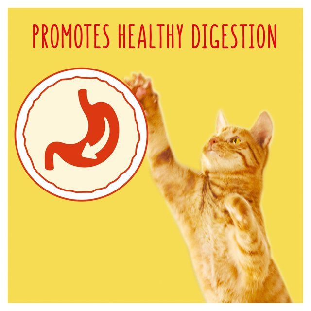 Go-Cat Chicken and Turkey Dry Cat Food 750g