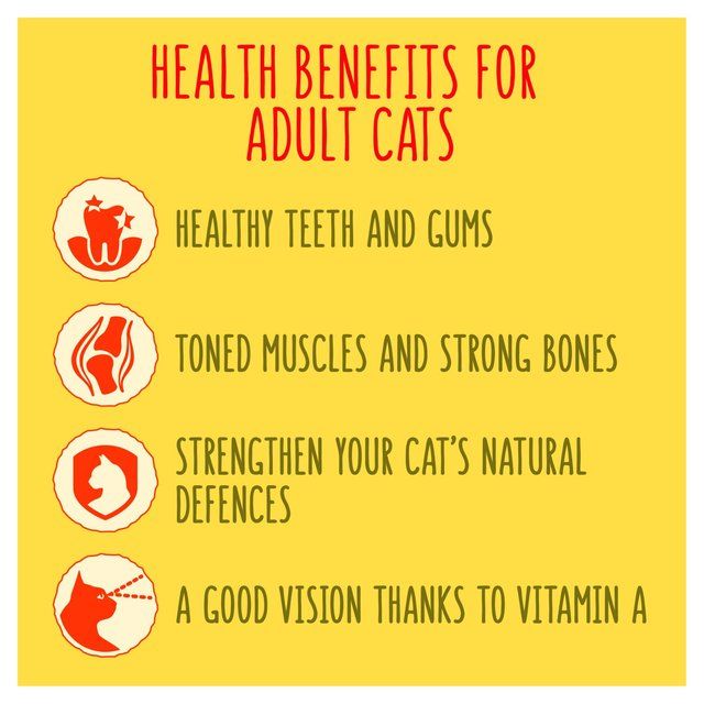 Go-Cat Crunchy & Tender Salmon and Tuna Dry Cat Food 900g