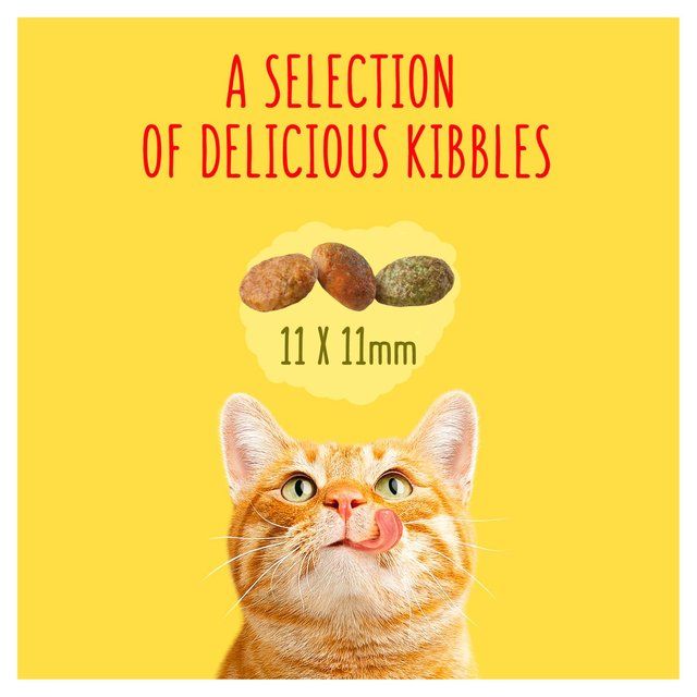 Go-Cat Indoor Chicken Dry Cat Food 750g