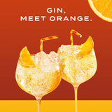 Gordon's Mediterranean Orange Flavoured Gin