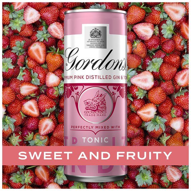 Gordon's Pink Gin & Tonic 10 x 250ml