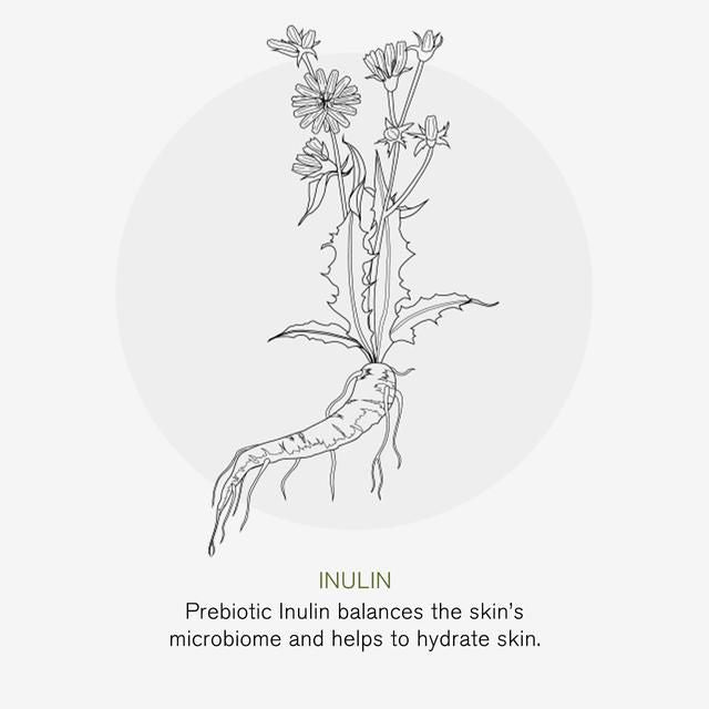 Green People Facial Sun Cream SPF30 Scent Free 50ml