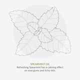 Green People Mint Cool Organic Toothpaste 50ml