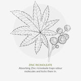 Green People Organic Roll On Deodorant Rosemary Vegan 75ml