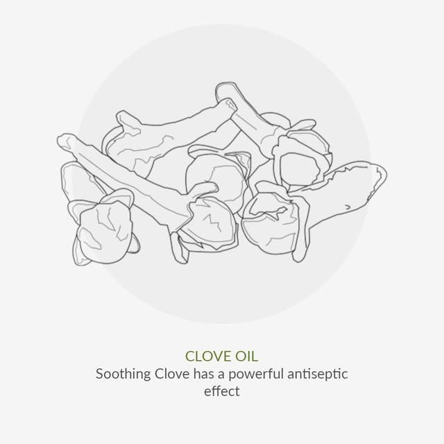 Green People Organic Toothpaste Fennel & Propolis   50ml