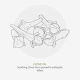 Green People Organic Toothpaste Fennel & Propolis   50ml