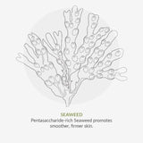 Green People Scent Free Day Moisturiser 50ml