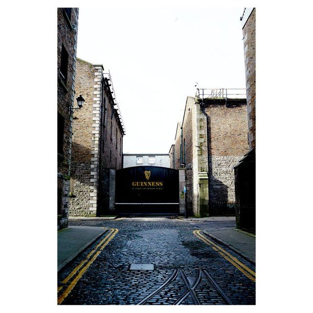 Guinness Original Stout Beer