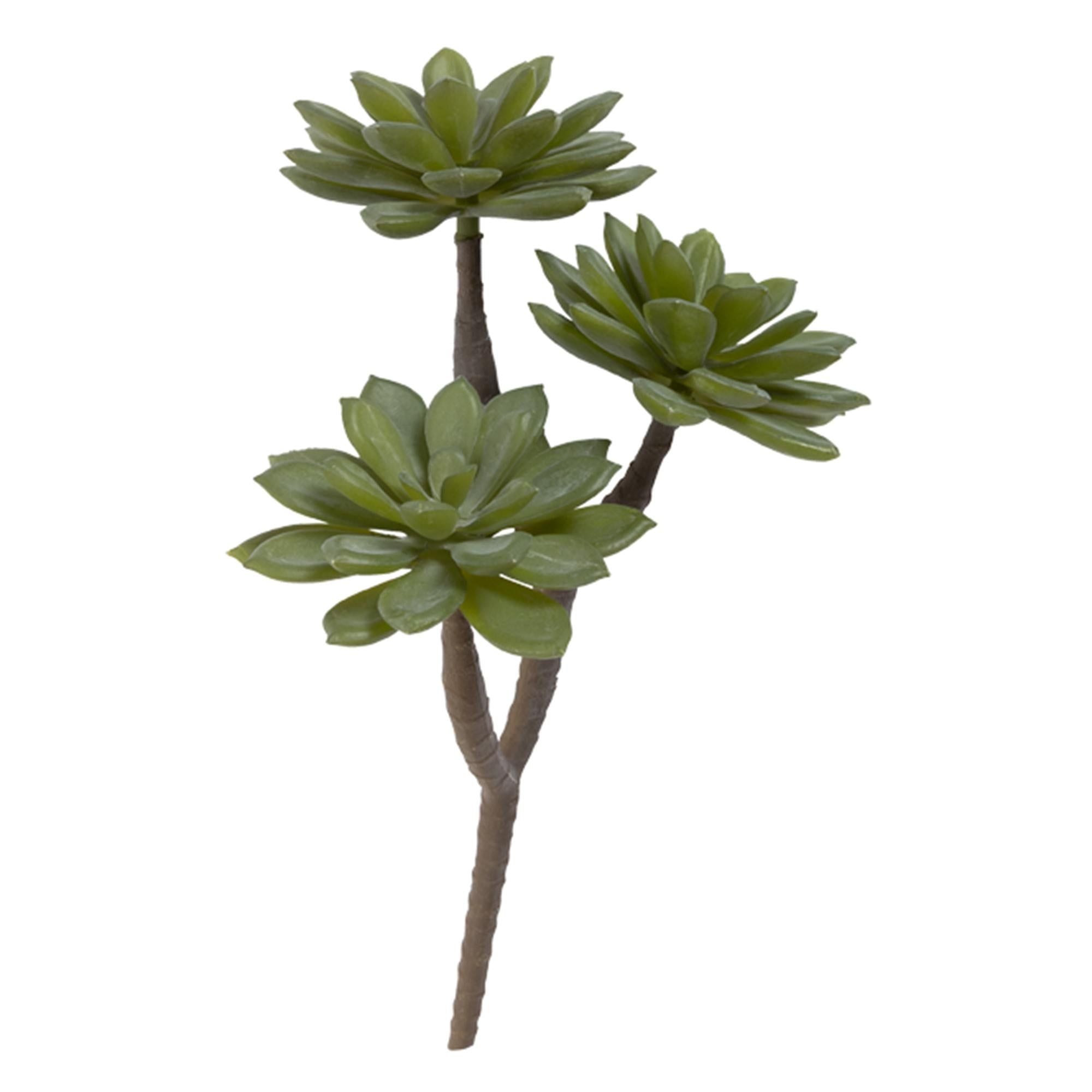 Habitat Single Stem Faux Succulent