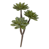 Habitat Single Stem Faux Succulent