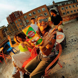 Havana Club Tropical Mojito 25cl