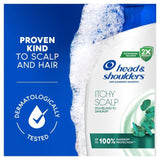 Head & Shoulders Itchy Scalp Shampoo 250ml