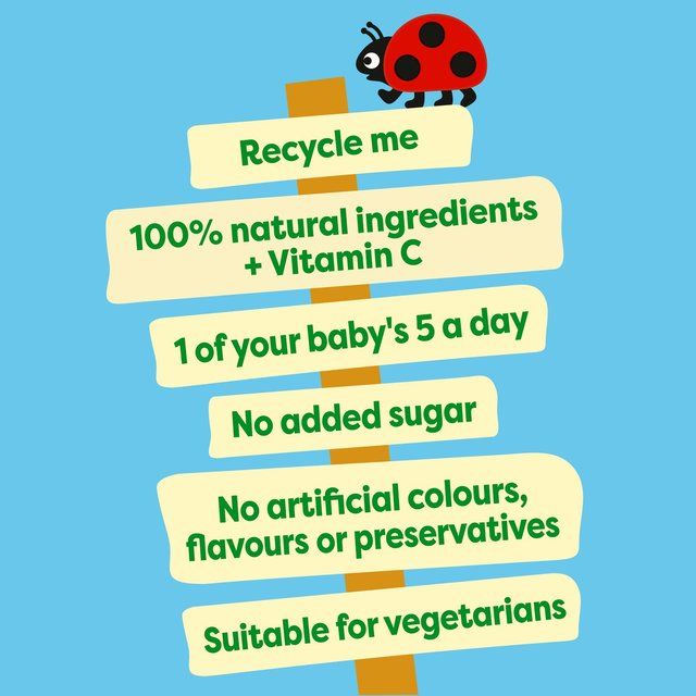 Heinz Apple & Blueberries Baby Food Fruit Pouch 6+ Months 100g