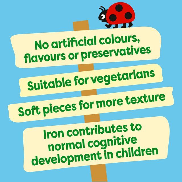 Heinz Blueberry Multigrain Porridge Baby Food 7+ Months 220g