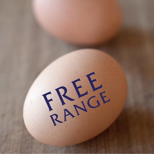 Hellmann's Light Mayonnaise   800g