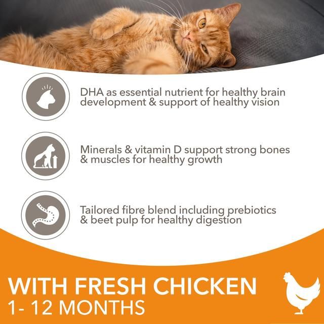 IAMS 1-12 Months Kitten Dry Cat Food Chicken 3kg
