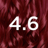Garnier Nutrisse 4.6 Deep Red Permanent Hair Dye