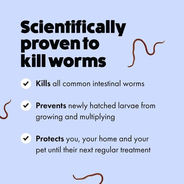 Itch Wormer Tablets For XL Dogs (20kg+) 2 per pack