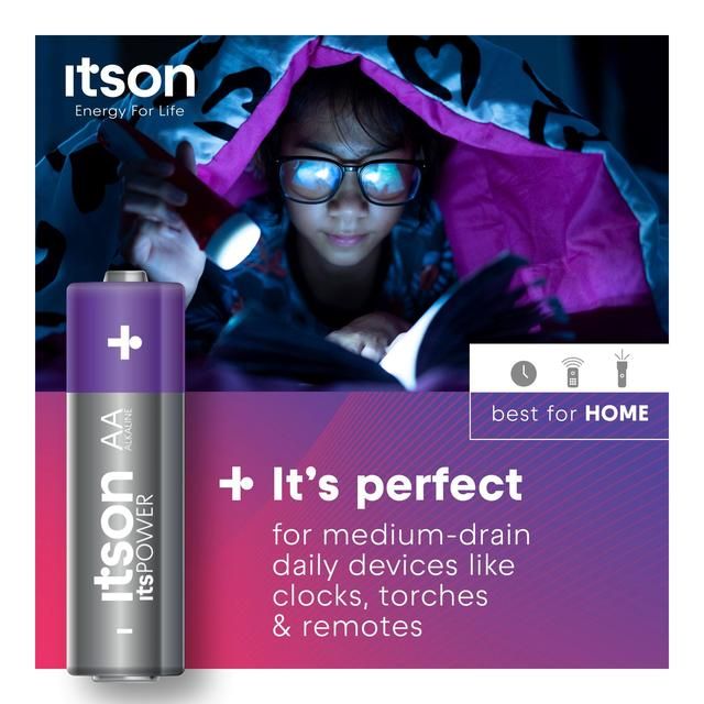 itson Itspower AA 10 Alkaline Battery   10 per pack