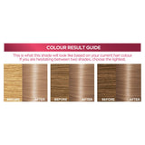 L'Oreal Excellence Creme 8.12 Natural Frosted Beige Blonde Permanent Hair Dye