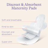 Lansinoh Discreet & Absorbent Maternity Pads   12 per pack