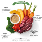 Lily's Kitchen Beef Goulash Tray for Dogs 150g