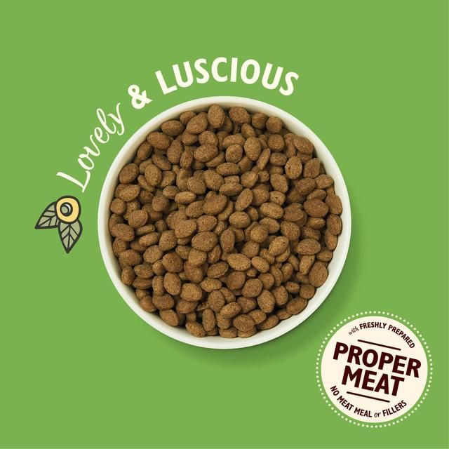 Lily's Kitchen Dog Lamb Shepherd's Pie Adult Dry Food 2.5kg