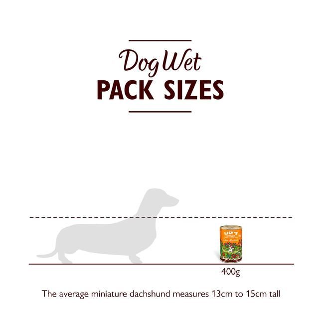 Lily's Kitchen Lean Machine Tin for Dogs   400g