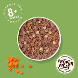 Lily's Kitchen Puppy Recipe with Chicken Wet Dog Food 150g