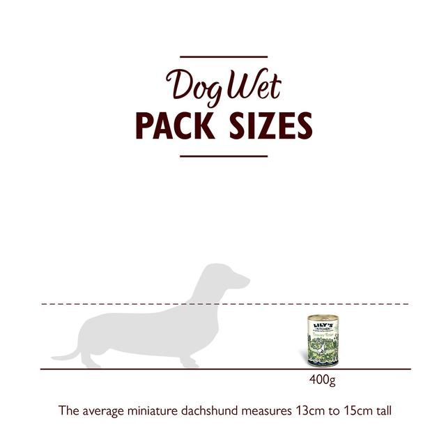 Lily's Kitchen Recovery Recipe for Dogs 400g