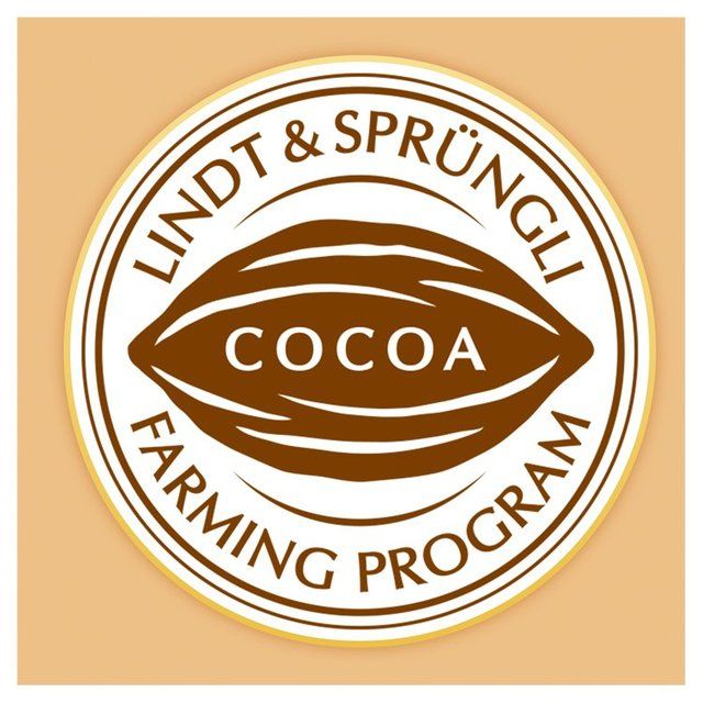 Lindt Lindor Assorted Chocolate Truffles 600g