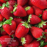 Little Freddie Organic Fragrant Strawberries Bananas & Apples   100g